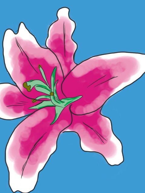 Digital Sketch 04 — Digital