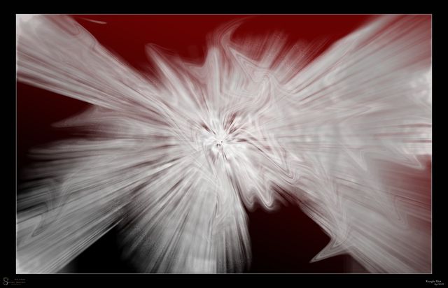 Milk and blood — Digital