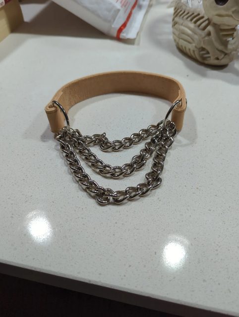 Tan Collar, Chained — Leather and hardware