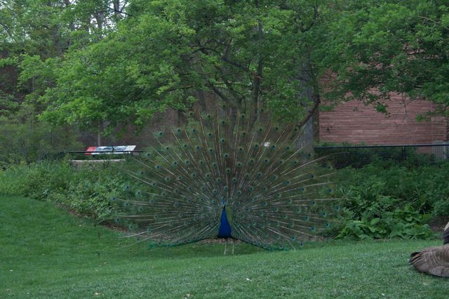 Photograph 001 — Photograph
