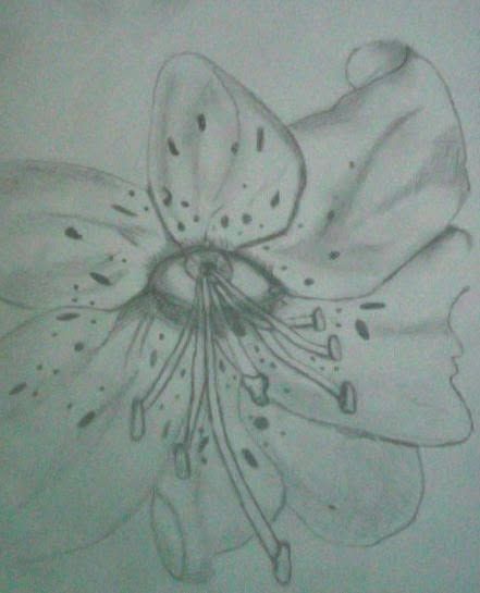 Sketch 002 — Graphite