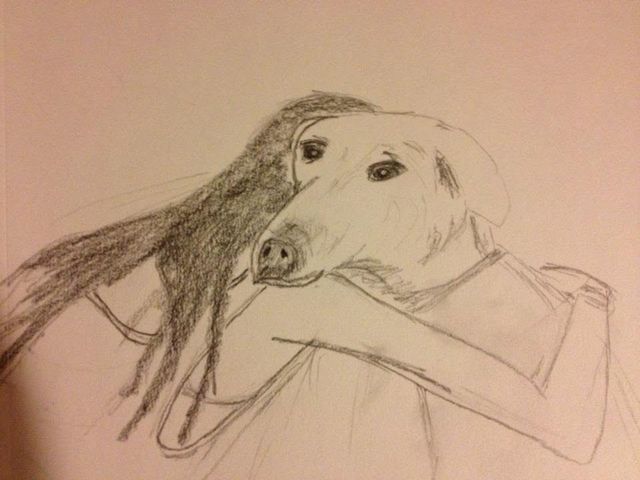Sketch 009 — Graphite